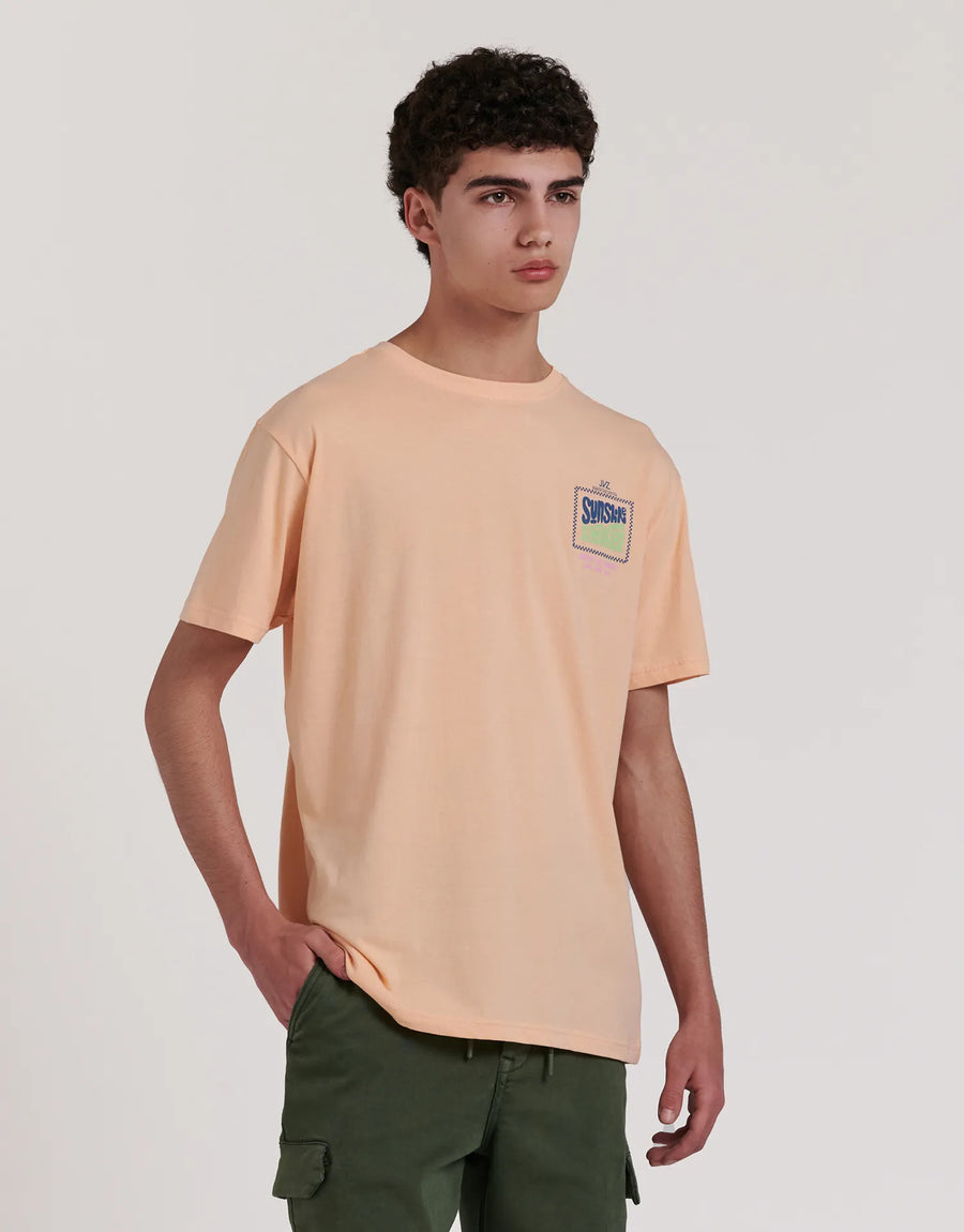 CAMISETA PRINT SUNSHINE