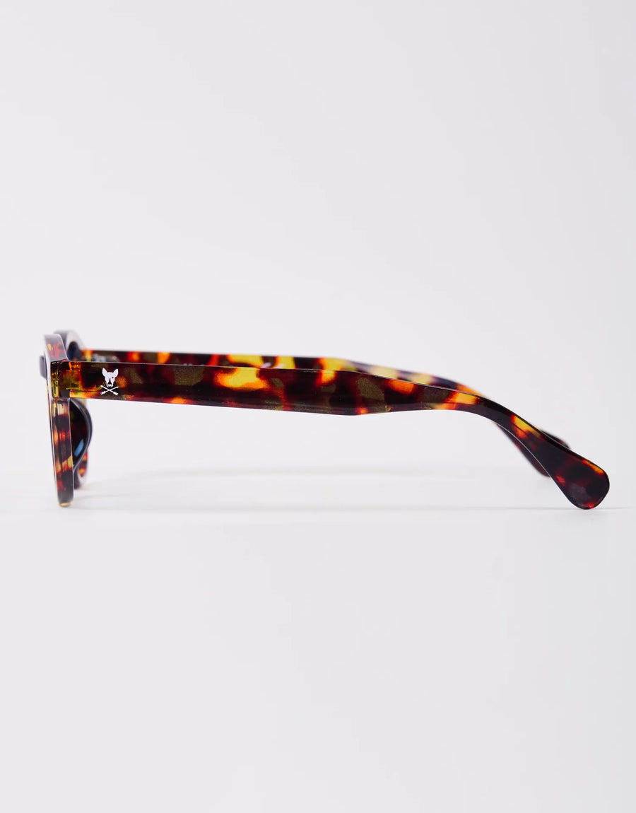 GAFAS HAVANA