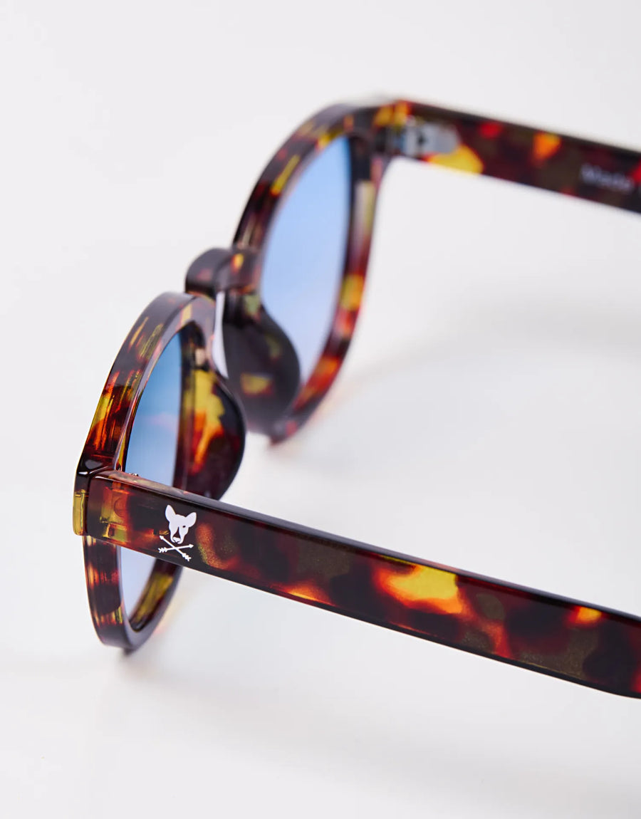 GAFAS HAVANA