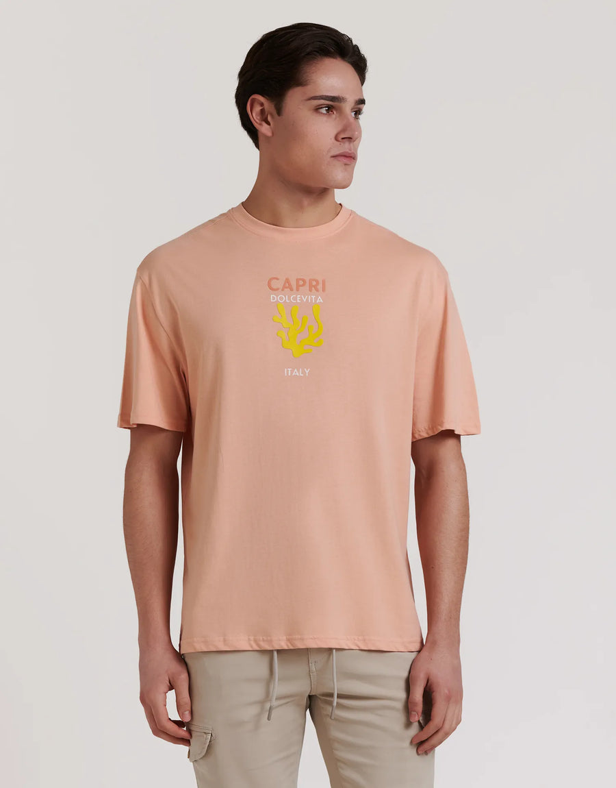 CAMISETA DESTINY