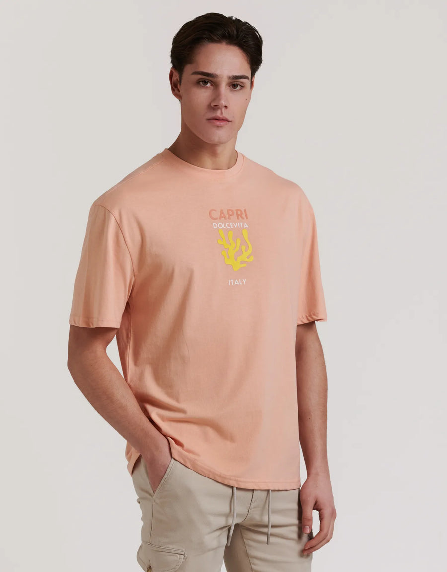 CAMISETA DESTINY