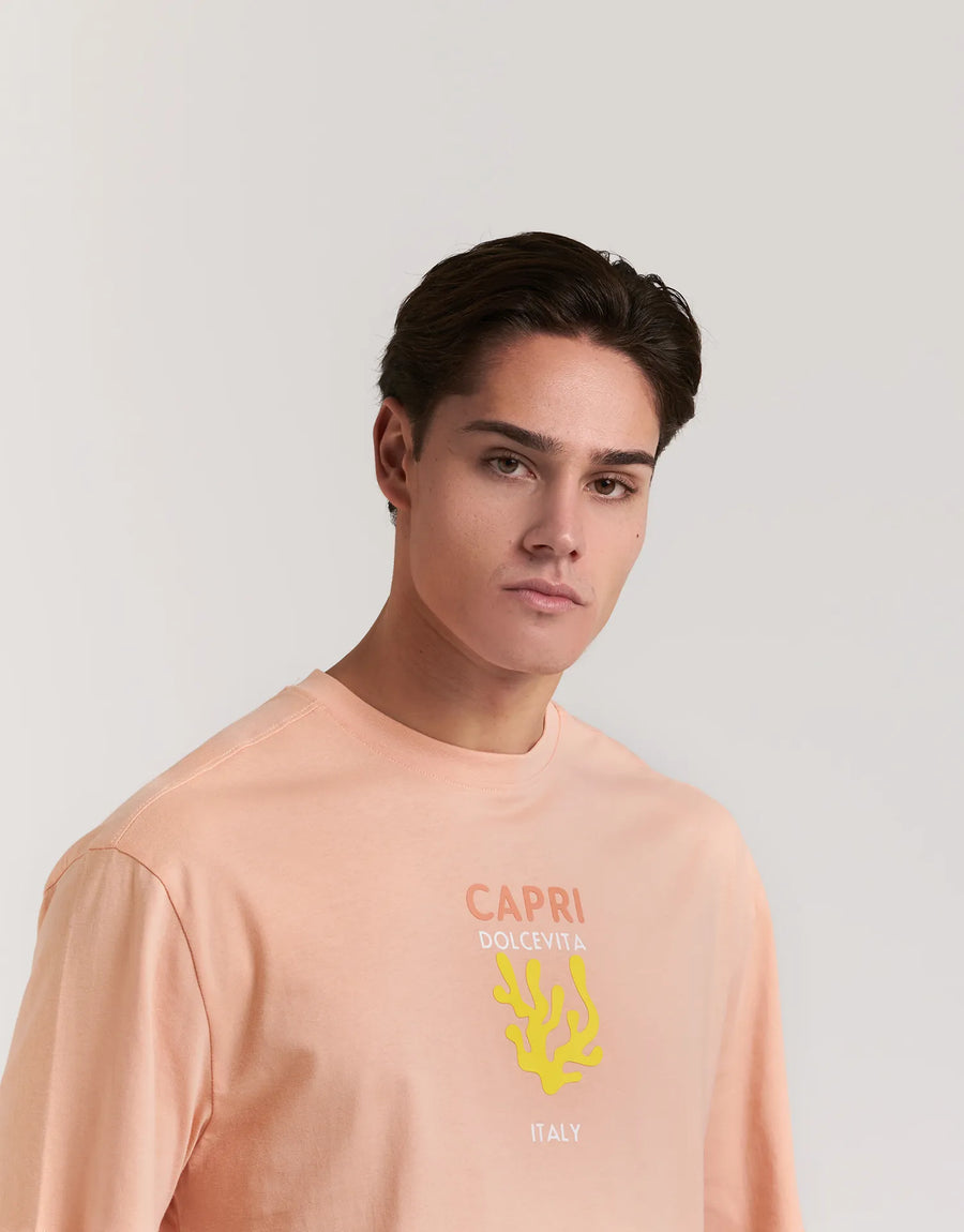 CAMISETA DESTINY