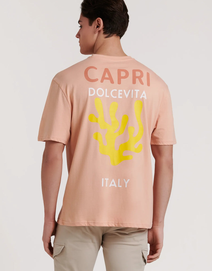 CAMISETA DESTINY