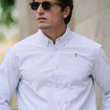 CAMISA OXFORD RAYAS